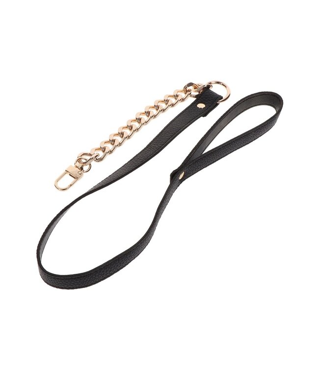 Statement Leash