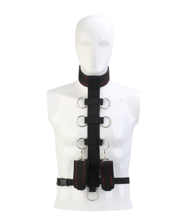 BLAZE COLLAR BODY RESTRAINT