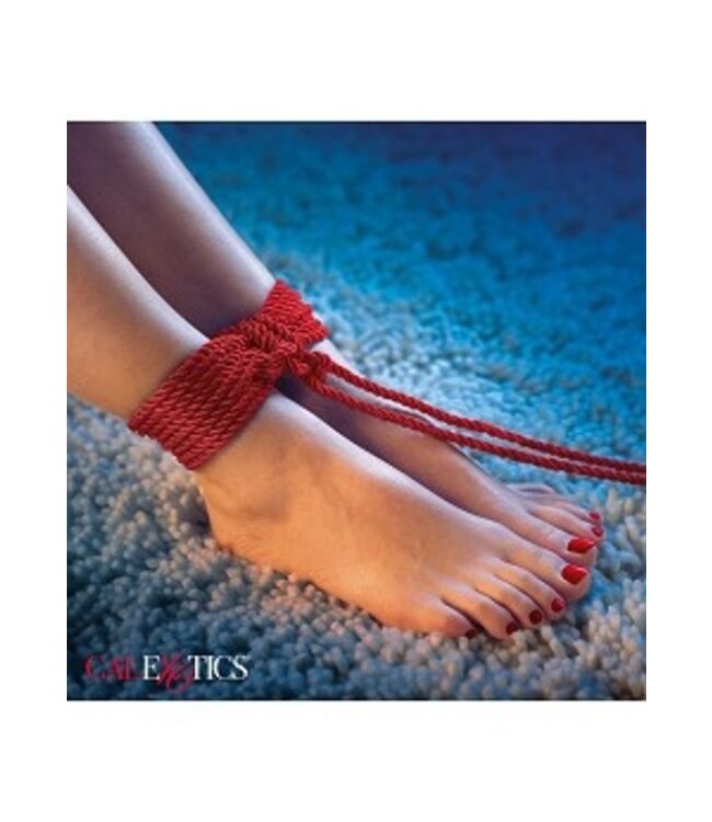 SCANDAL BDSM ROPE 10 M