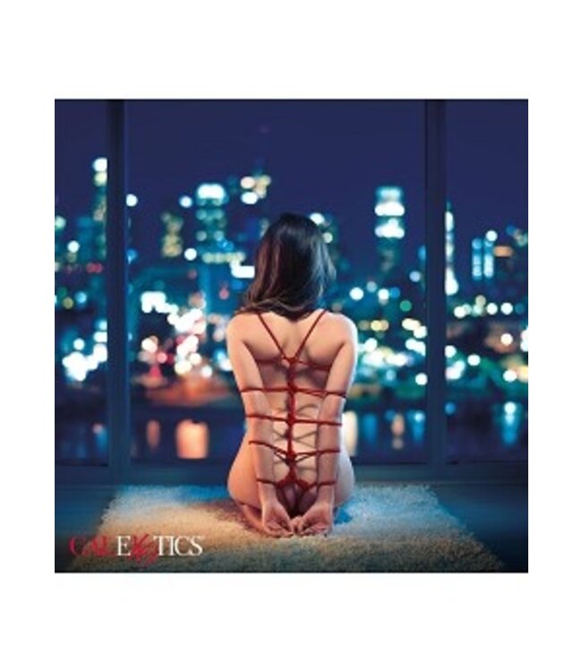 SCANDAL BDSM ROPE 10 M