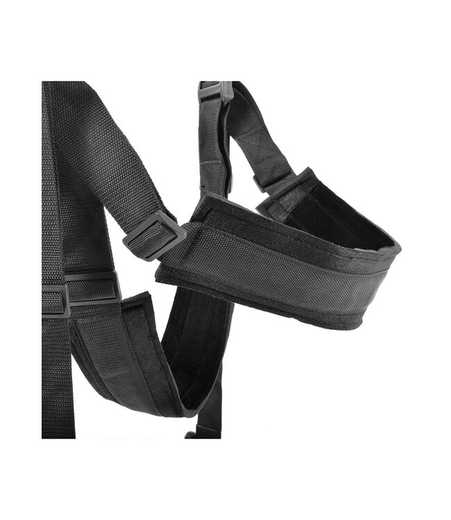 Fantasy Series - Spinning Fantasy Swing