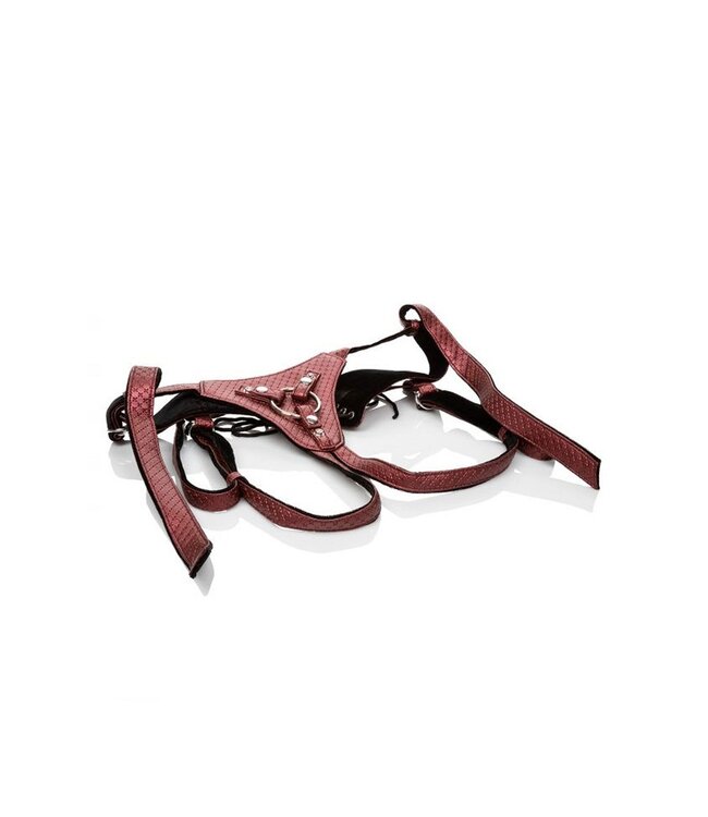 Calexotics - The Regal Queen Harness