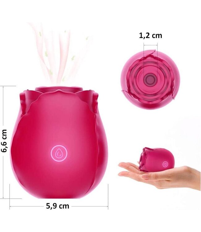 Stringpoint - Rose Vortex Flow