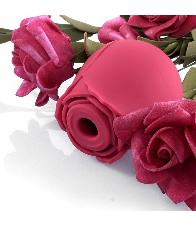 Stringpoint - Rose Vortex Flow