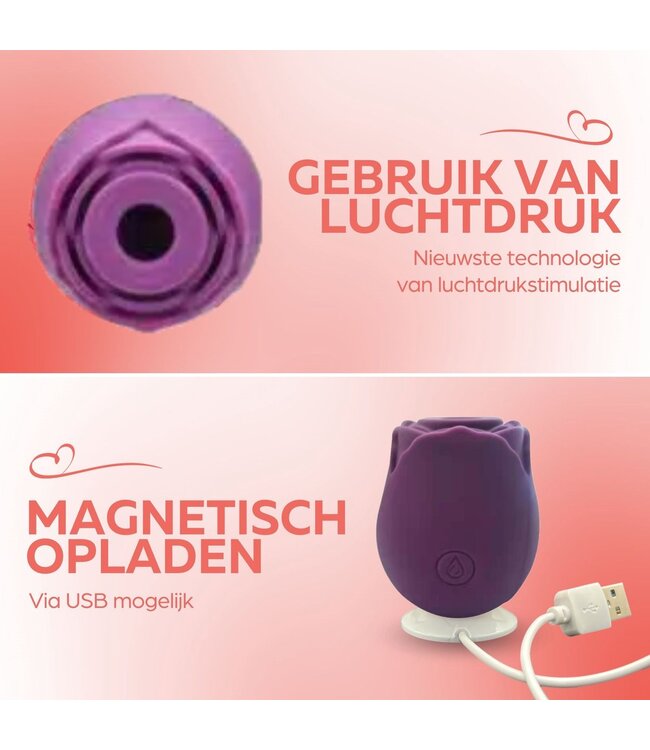 Stringpoint - Rose Vortex Flow