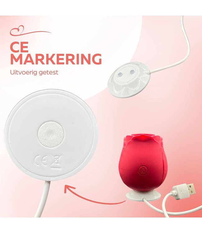 Stringpoint - Rose Vortex Flow