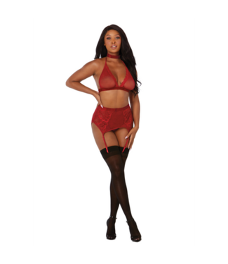 Dreamgirl Fishnet and Lace 4 Piece Set - One Size