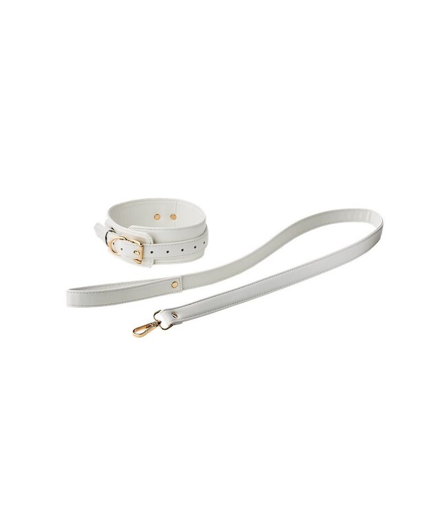 BLAZE ELITE COLLAR AND LEASH WHITE