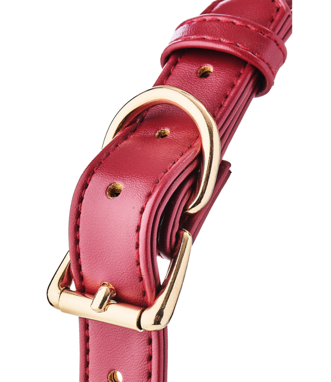 BLAZE ELITE BALL GAG RED