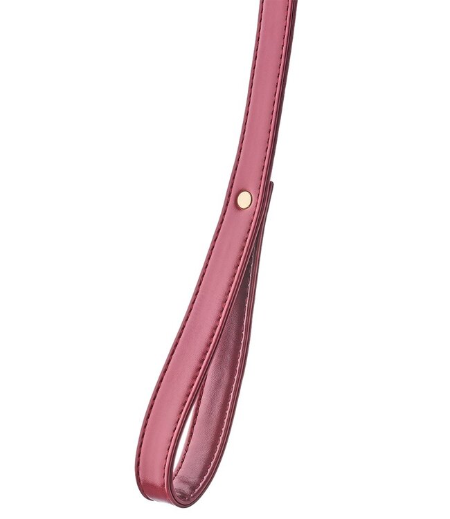 BLAZE ELITE COLLAR AND LEASH RED