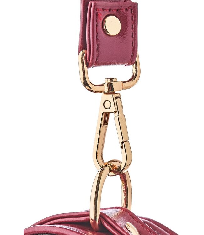 BLAZE ELITE COLLAR AND LEASH RED