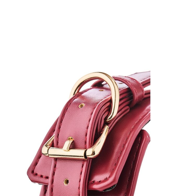 BLAZE ELITE COLLAR AND LEASH RED