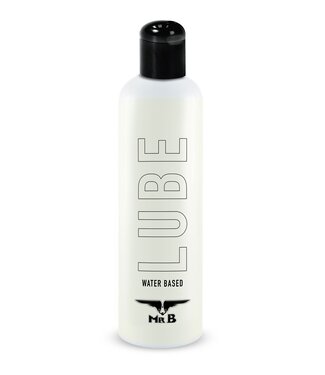 Mister B LUBE WB 500 ml