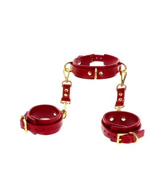 Taboom Bondage in Luxury D-Ring Collar and Wrist Cuffs