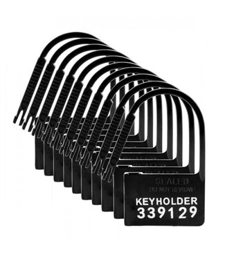 Master Series Keyholder Kuisheidskooi Hangslotjes - 10 Stuks