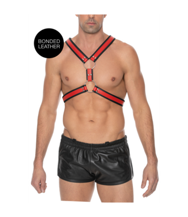 Scottish Leather Harness - L/XL