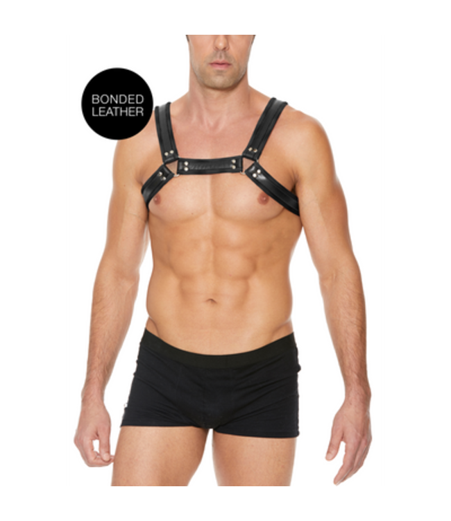 Leather Bulldog Harness with Buckles - L/XL