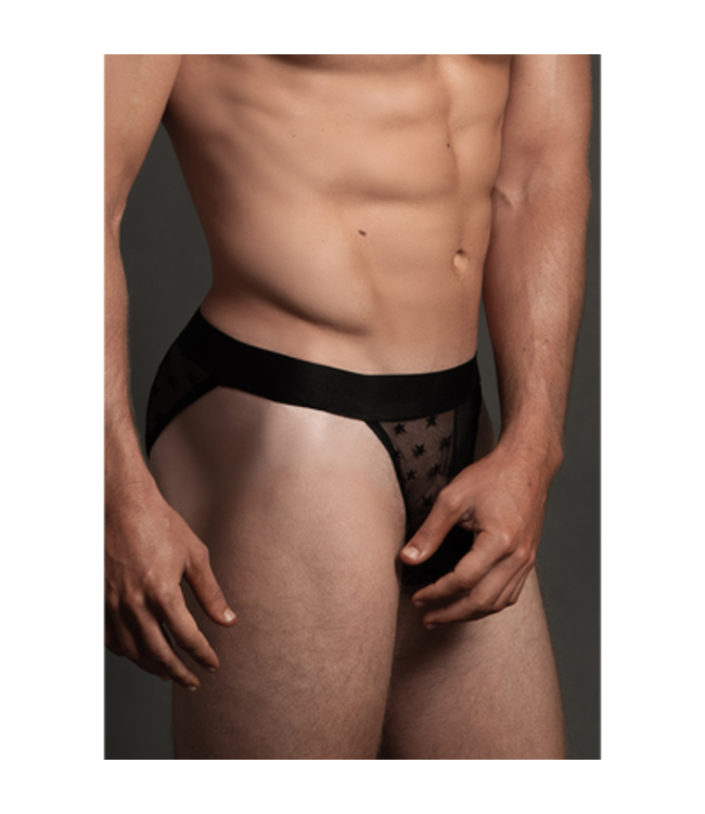 Star Brief - L/XL