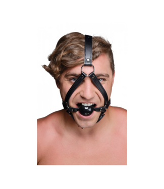 XR Brands Head armor with Ball Gag