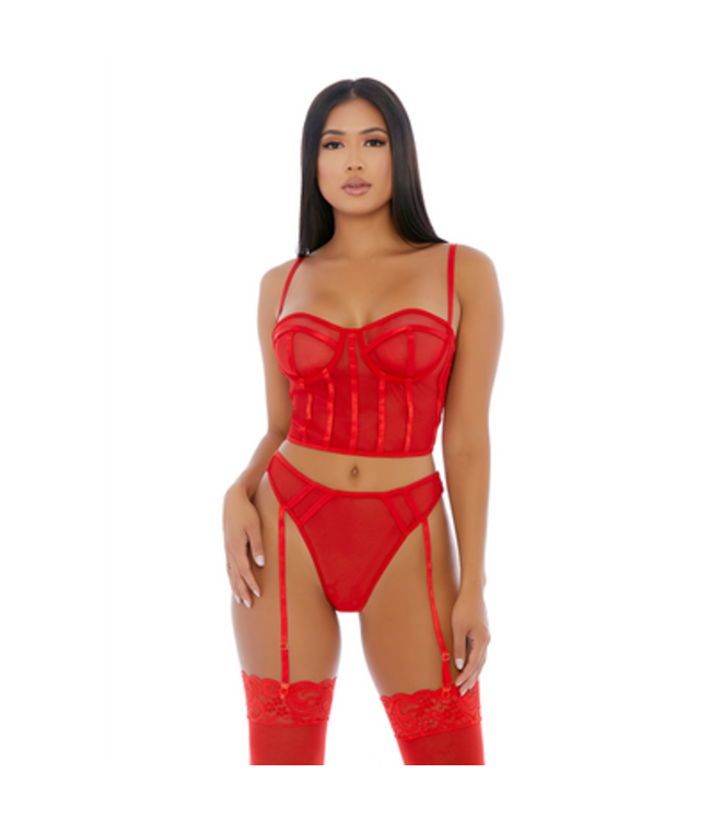 Sheer Intimacy - Mesh Bustier Set - L