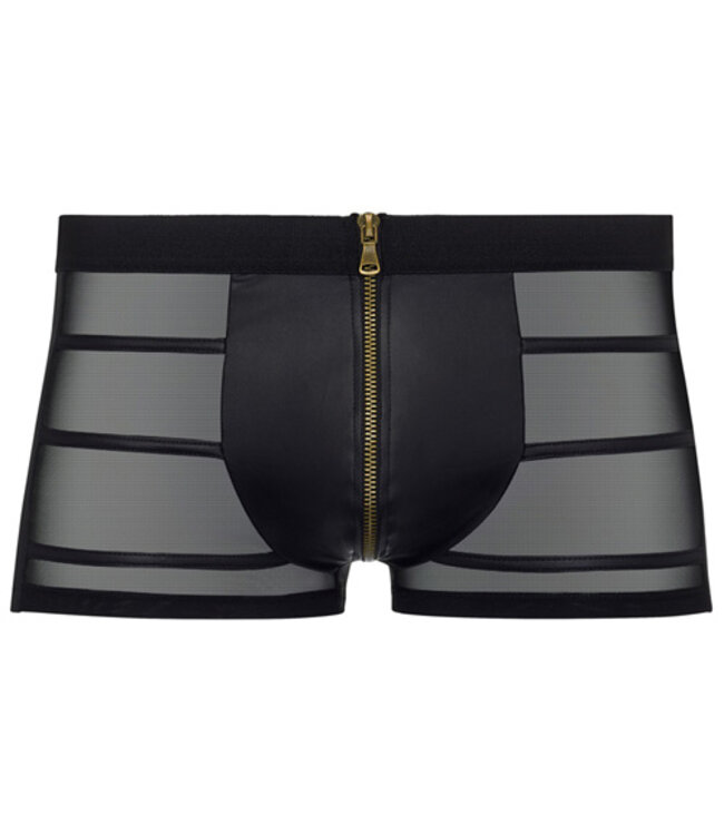 Doorschijnende Boxer Met Wetlook