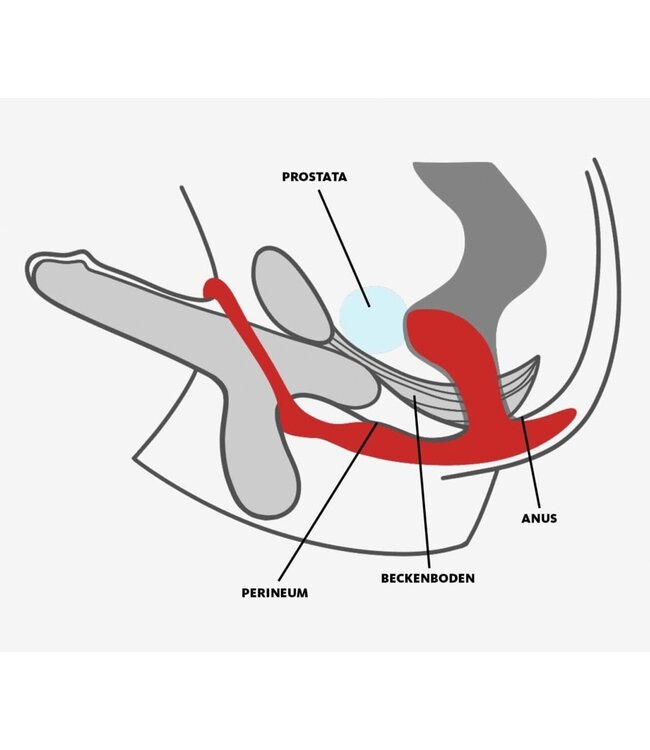 Fun Factory - Bootie Ring + Butt Plug