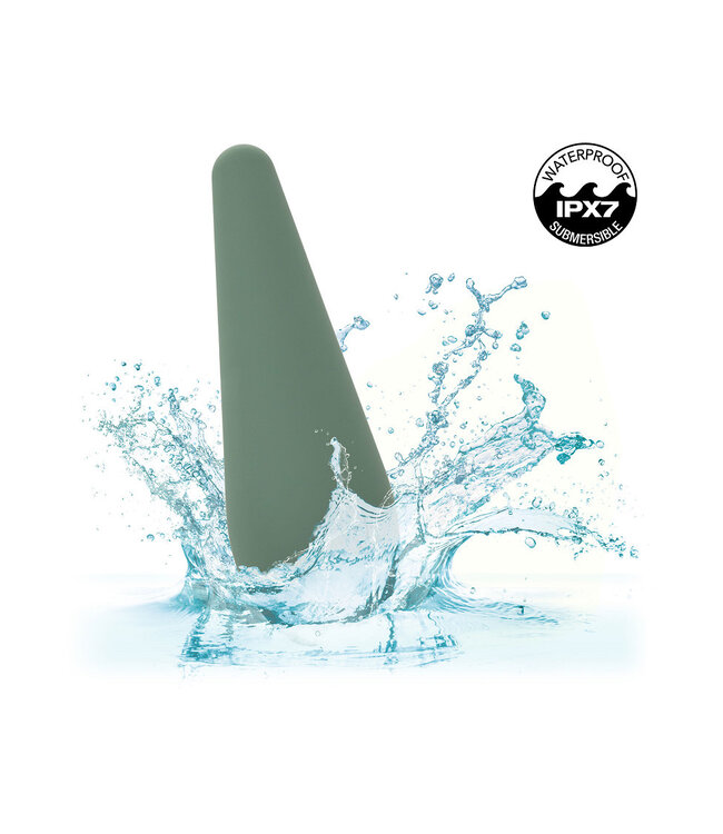 CalExotics Mod Chíc