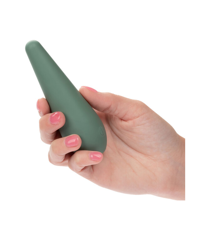 CalExotics Mod Chíc