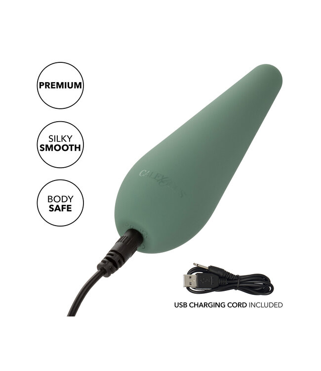 CalExotics Mod Chíc