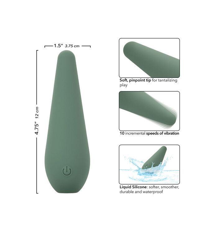 CalExotics Mod Chíc