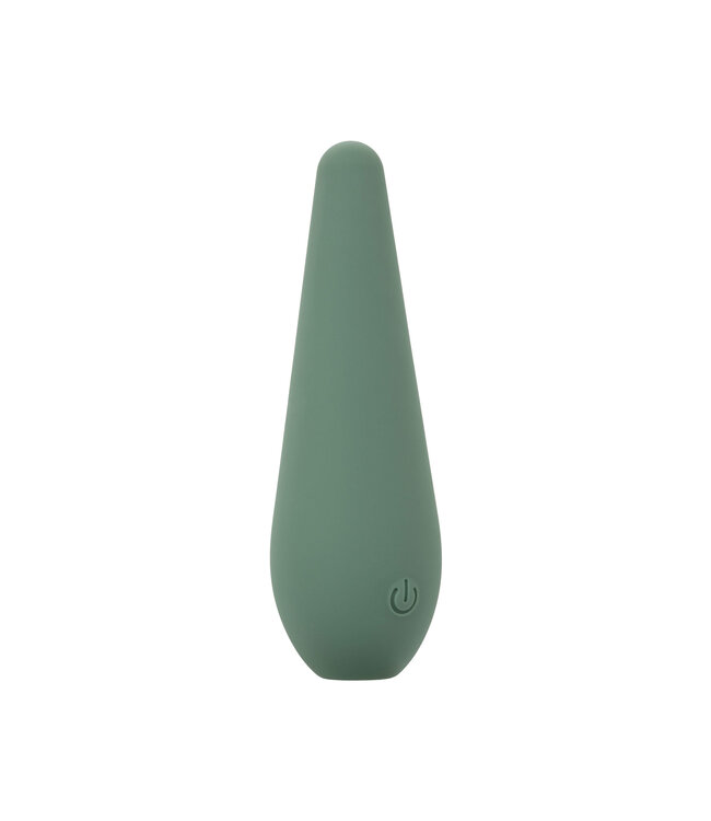 CalExotics Mod Chíc