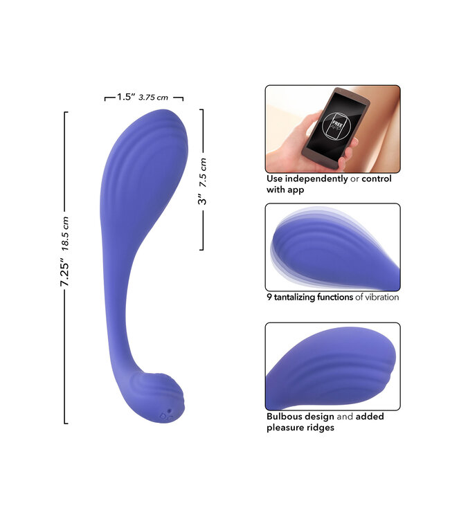 CalExotics Connect Kegel Exerciser