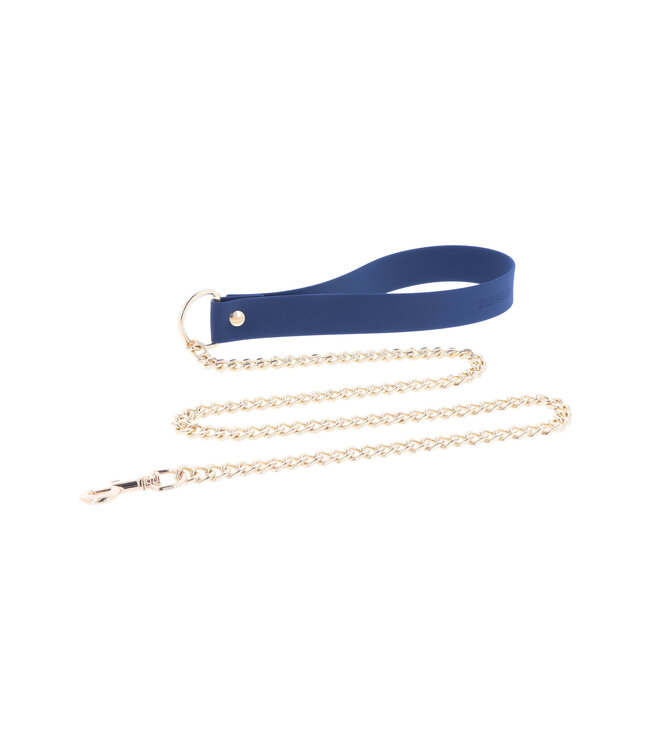 Silicone Collar and Leash