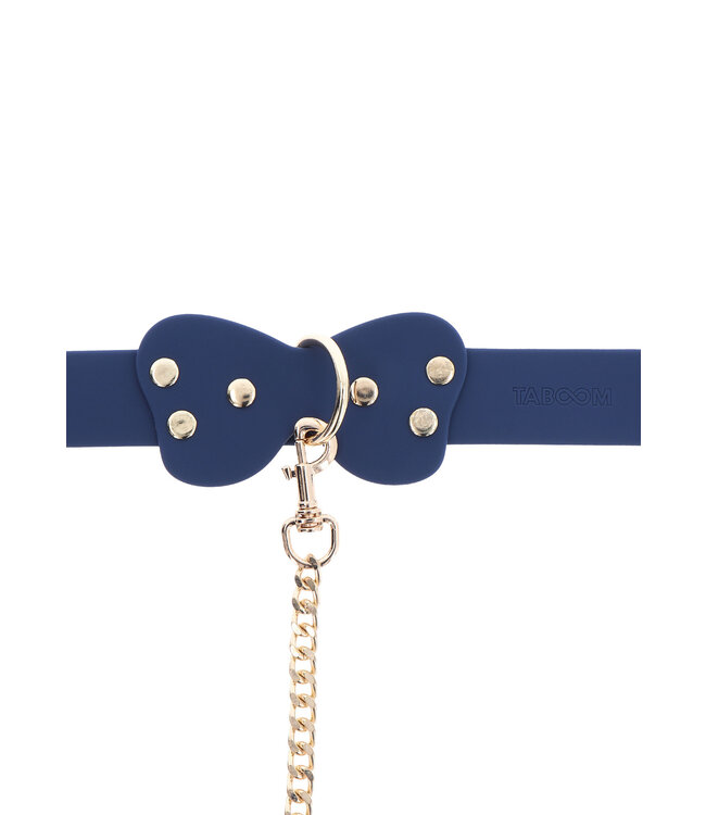 Silicone Collar and Leash