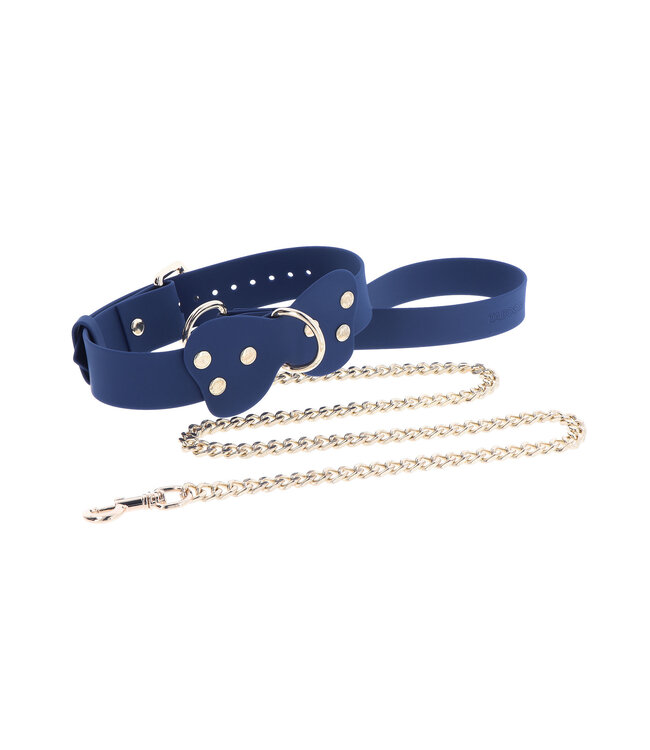 Silicone Collar and Leash