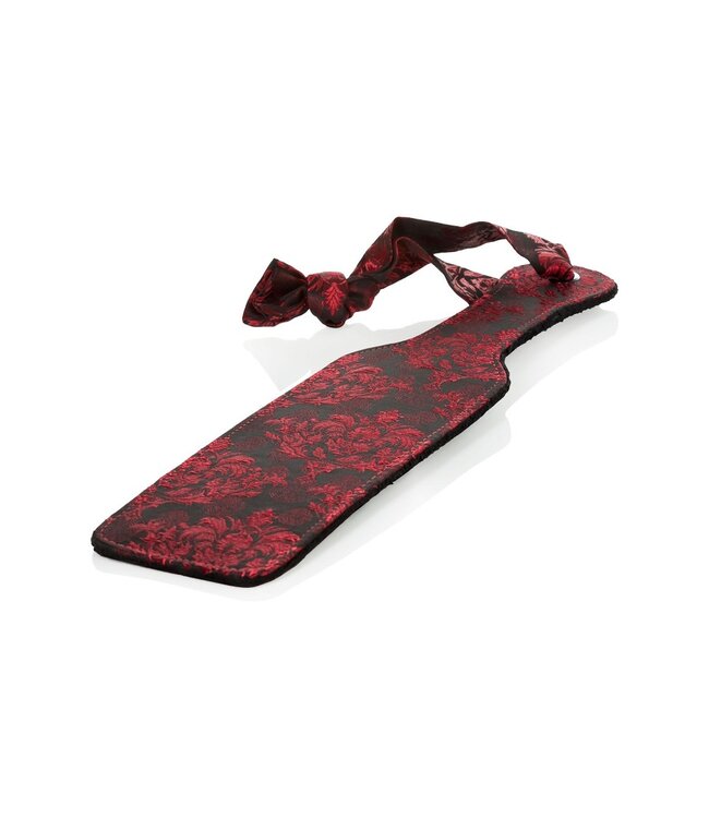 CalExotics Scandal Paddle