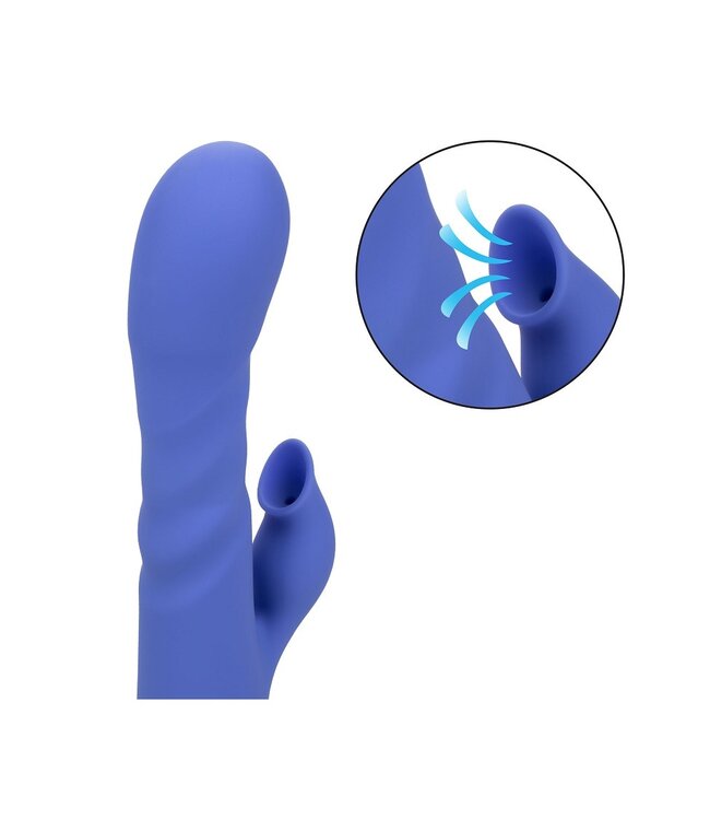 CalExotics California Dreaming L.A. Love