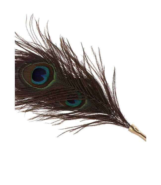 Peacock Tickler
