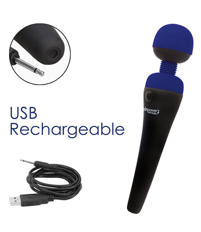 PalmPower - Recharge Wand Massager Blue