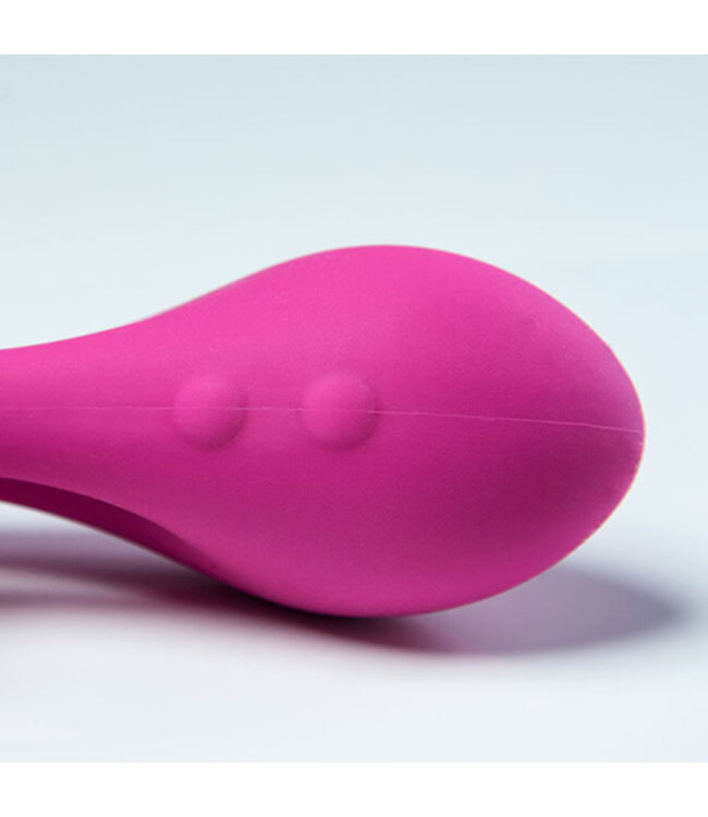 Swan - The Silhouette Swan Pink