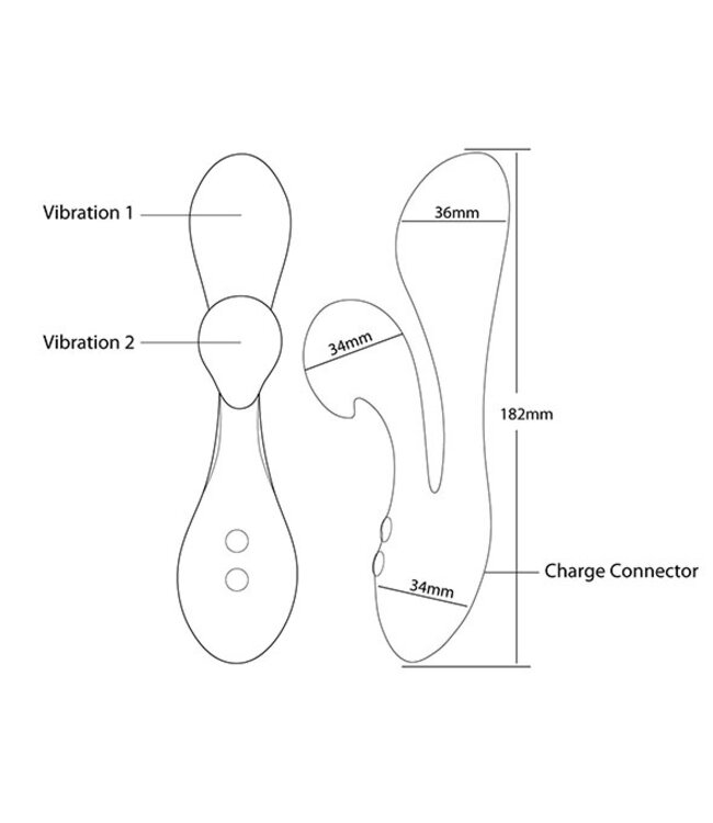 Swan - The Silhouette Swan Pink