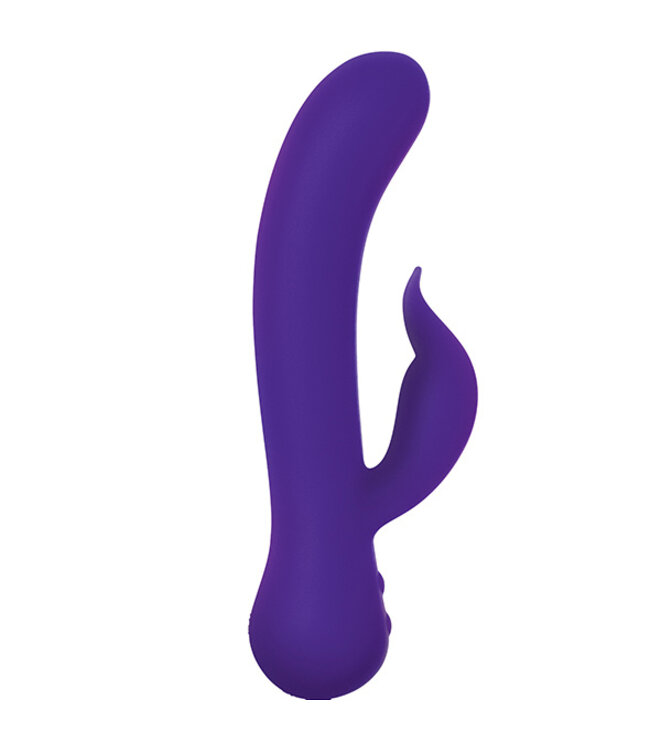 Swan - The Duchess Swan