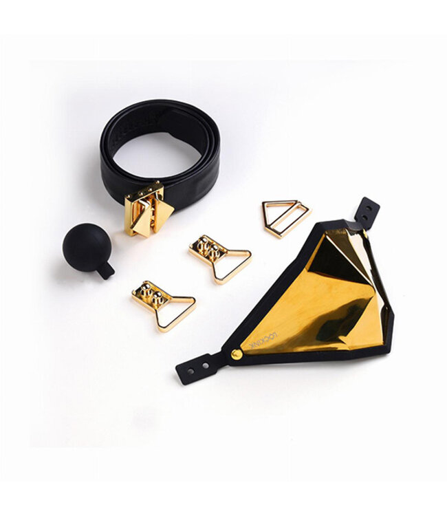 LOCKINK - Golden Punker Muzzle Gag Set  Gold