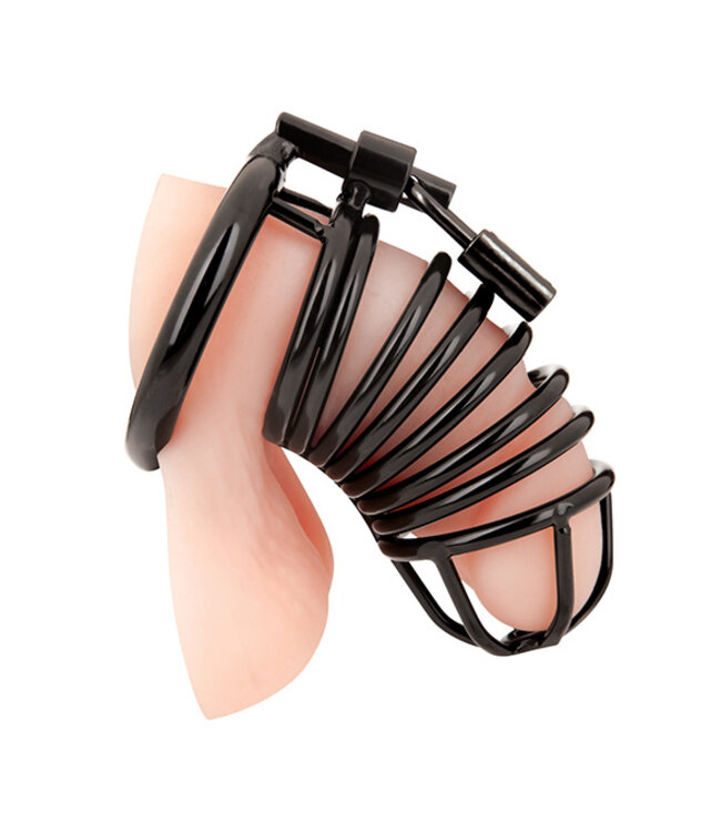 Blueline - Deluxe Chastity Cage Black