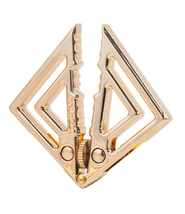 LOCKINK - Adjustable Nipple Clamps with Heavy Pendant Gold
