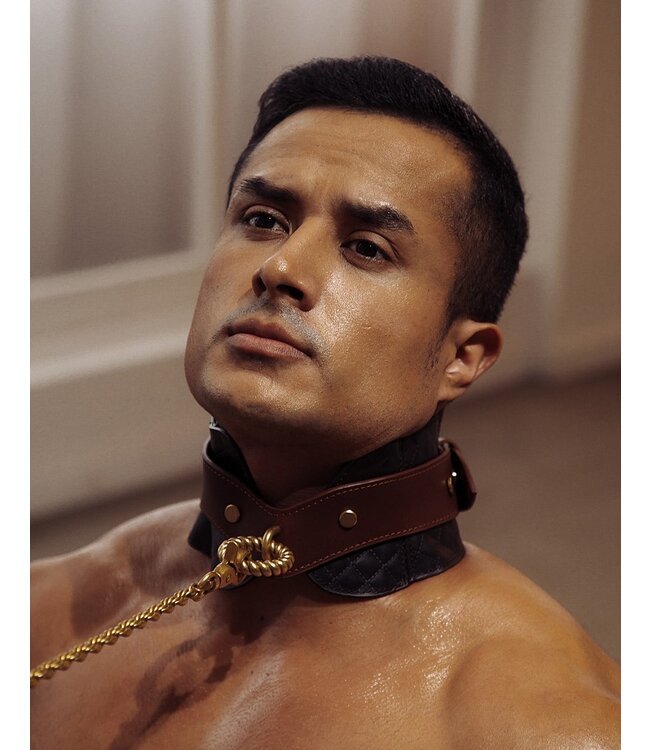 Liebe Seele - Leren Postuurhalsband met Riem - Zwart, Bruin & Goud