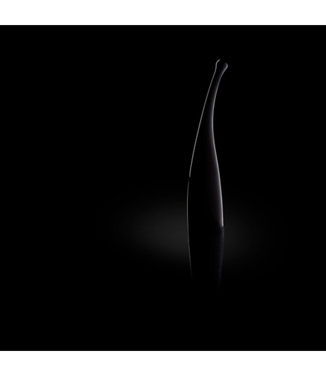 Senzi Vibrator - Zwart