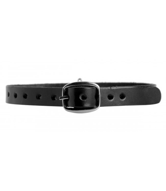 Strict Leather Halsband Met O-Ring