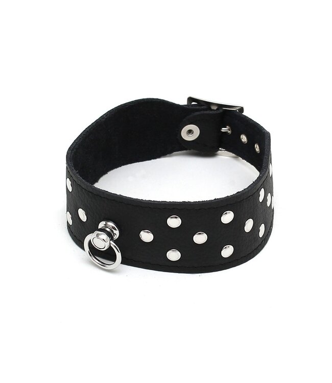 Rimba - Halsband  4 cm. breed, versierd met nieten