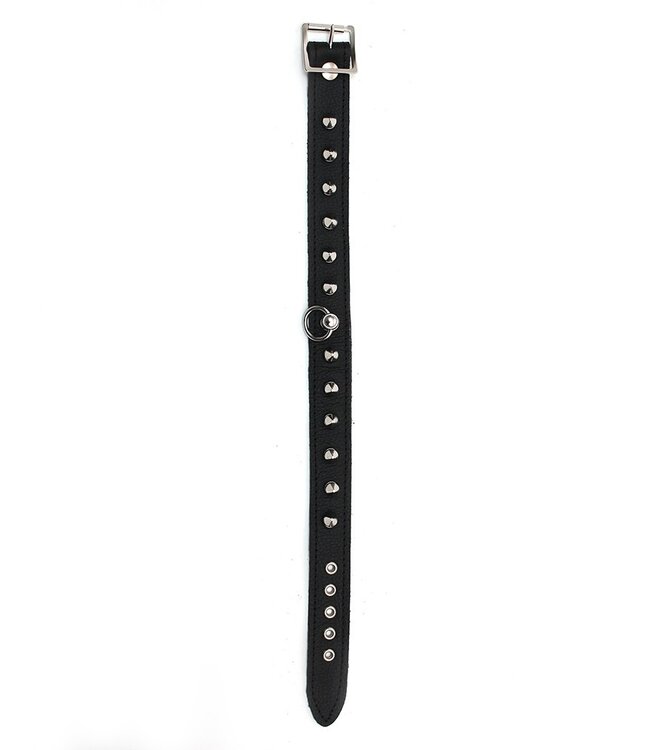Rimba - Halsband  2.5 cm. breed, versierd met spikes